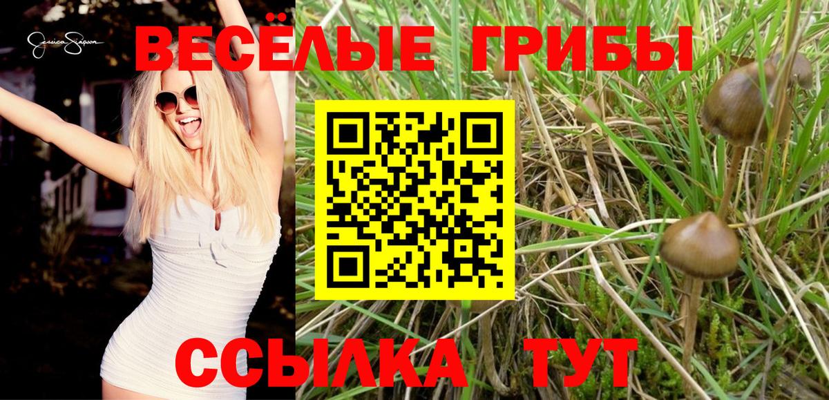 Зеленокумск  Псилоцибиновые грибы мухоморы  Вход с VPN 