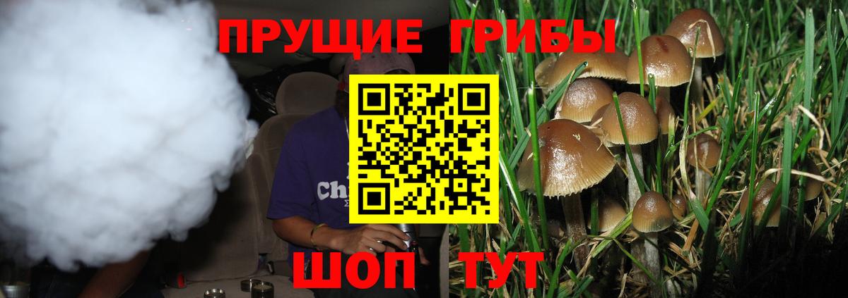 Галлюциногенные грибы мицелий Зеленокумск